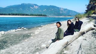 Royal Tiger Cottage - 9