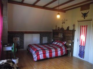 3 chambres spacieuses du grès rouge - Beauval - 1