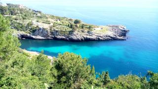 BLU SUITE COTTAGE SUL MARE e SWIMMING POOL - Tricase - 7