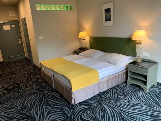 Parkhotel Carlsbad Inn - Karlovy Vary - 1