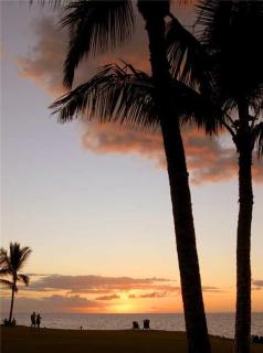 Kihei Surfside 210 - 5