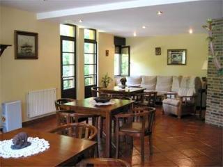 Hotel Benzua - Villanueva de Ardisana - 6