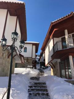 Pamporovo Villa - 9