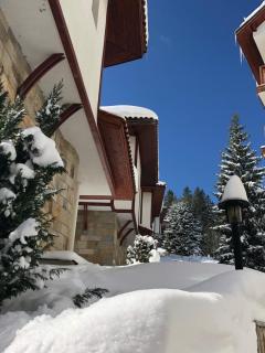 Pamporovo Villa - 8