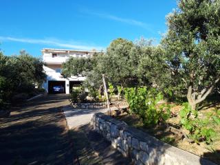 Apartment Gligora - Mandre - 8