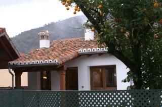 El Naranjo - Casas del Monte - 6