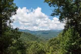 Lazy Bear Lodge - Valle Crucis - 6