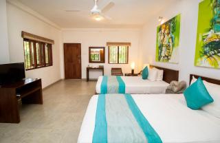 Amaara Forest Hotel Sigiriya - Sigiriya - 6