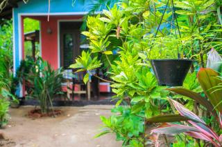 Green Grass Homestay - 1