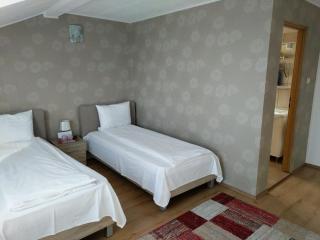 Pensiunea Vladut Timisoara - 4