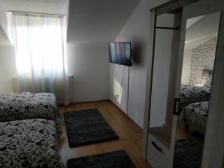 Pensiunea Vladut Timisoara - 2