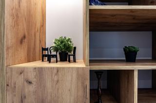 Sonata apartment - Lviv - 8