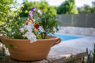 Villa Rouga by Andrian Villas - 1