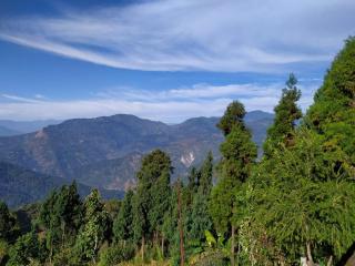 StayApart Green Hills Sangsay Homestay Kalimpong - Kalimpong - 9