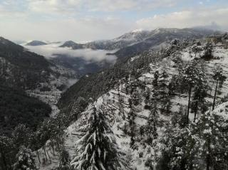Clarks Exotica Resort Ramgarh Mukteshwar - Rāmgarh - 8