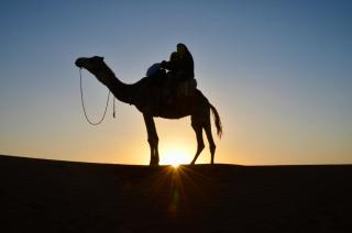 Jardin Kotori Luxury Camp - Merzouga - 6
