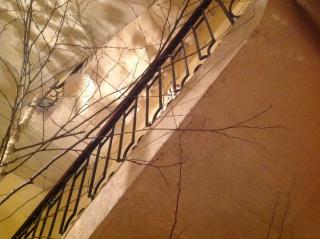 Maison du Lierre Bordeaux Centre ville - 1