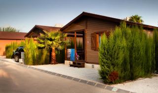 Camping Calpemar - Calp - 5
