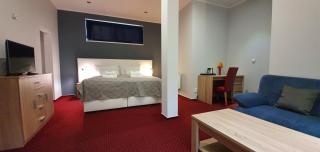 Saraya Wellness & Penzion - Teplice - 6
