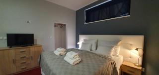 Saraya Wellness & Penzion - Teplice - 4