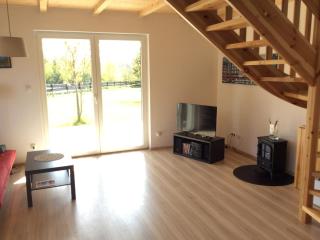 Spacious holiday home in Lubkowo near forest - Lubkowo - 7