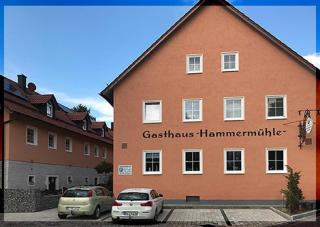 Landgasthof-Hotel Hammermühle - Donaustauf - 4