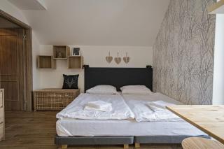 Ruprecht Apartment - Vrchlabí - 8
