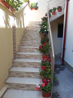 Casa Nina - apartament doua camere - Eforie Nord - 1