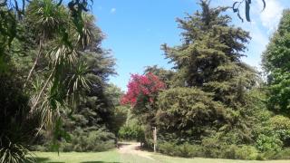 Casa quinta Los Alazanes - Buenos Aires - 6