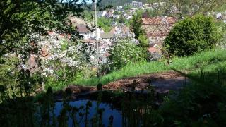 Meisterhaus Alpirsbach Loft - 8