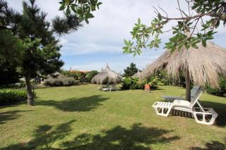 Ron Apartamentos Duplex - 6