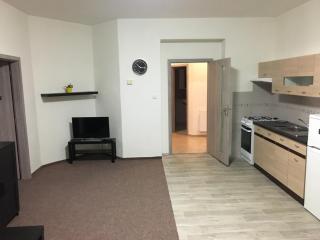 Apartmány U Muzea - Děčín - 7