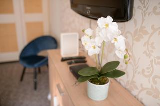 Lujzi apartman - Eger - 3
