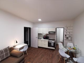 Haas Apartments Downtown with Parking - 1