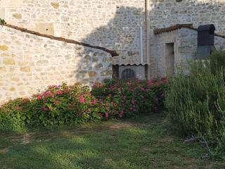 La Galerne - Montpellier-de-Médillan - 6