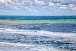 Continental Condominiums - Panama City Beach - 5