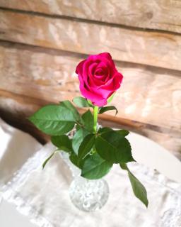 Eräjärven Eerola aittahuone (summer room) - 8