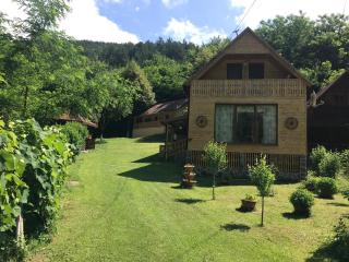 Casa de Vacanta Geoagiu de Sus - Geoagiu de Sus - 7