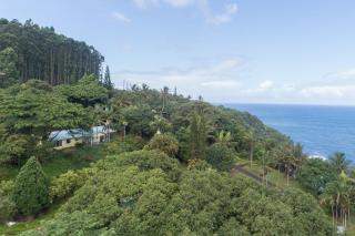 Hamakua Pukana La Hale home - Papaaloa - 7
