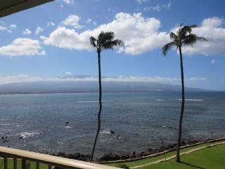 Maalaea Kai 316 condo - Kihei - 8