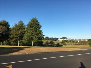 Nest in west home stay - Auckland - 1