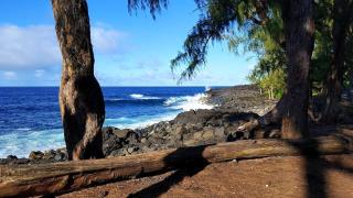 Maluhia Hale home - Hawaiian Paradise Park - 5