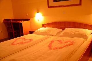 Hotel Bajt Maribor - Maribor - 8