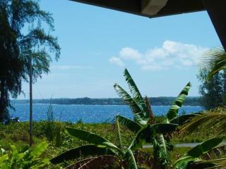 Hale Ki'i Maka Manu home - Keaau - 3