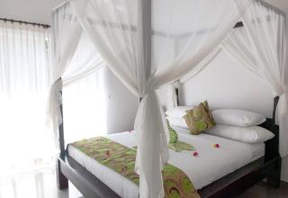Villa Paradise Lovina - 1