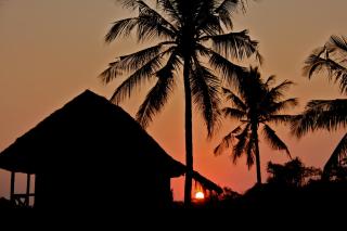 Simply Saadani Camp, A Tent with a View Safaris - Mkwaja - 8