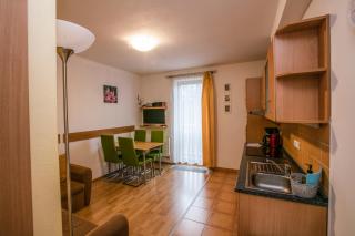 Apartment Riviera 507-5b Lipno Home - Lipno nad Vltavou - 9