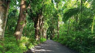 Maluhia Hale home - Hawaiian Paradise Park - 3