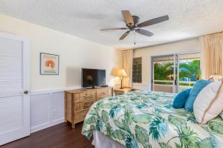 Beautifully Upgraded, Full Kitchen, Comfy King Bed, AC condo - Kapaa - 1