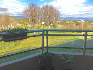 Zen Garden Pool,3bedrooms, Beach800m,box&wifi - Antibes - 3